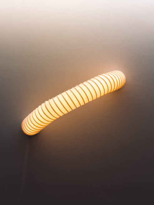 Wormie Studio The Wormie 1.0m photo 2